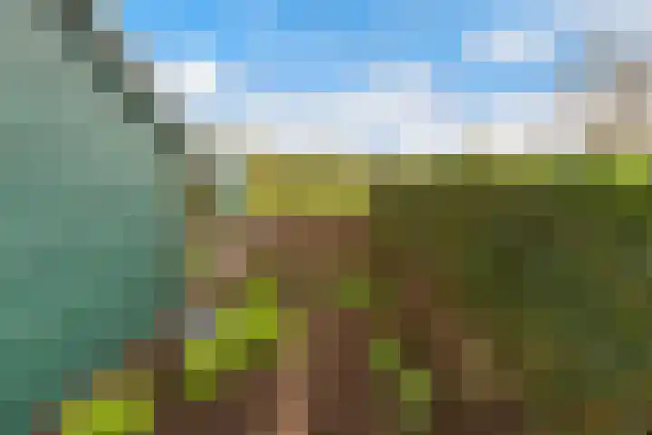 Tentweg 93 Stolwijk thumbnail 52