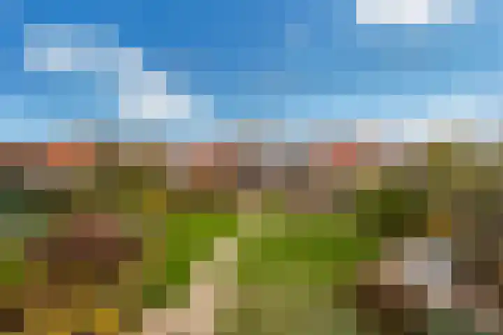 Tentweg 93 Stolwijk thumbnail 55