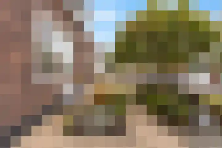 Tentweg 93 Stolwijk thumbnail 8