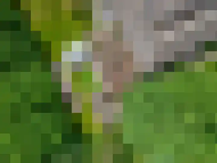 Tepelenburgweg 3 2 Harskamp thumbnail 43