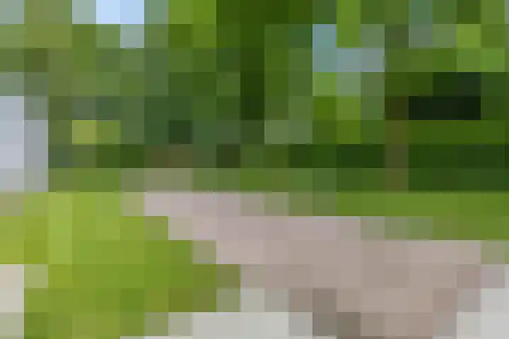 Tepelenburgweg 3 2 Harskamp thumbnail 44