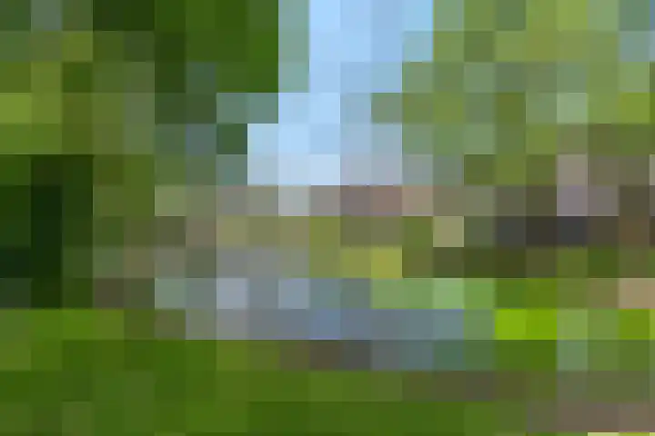 Tepelenburgweg 3 2 Harskamp thumbnail 46