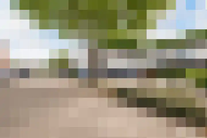 Tepelenburgweg 3 25 Harskamp thumbnail 27
