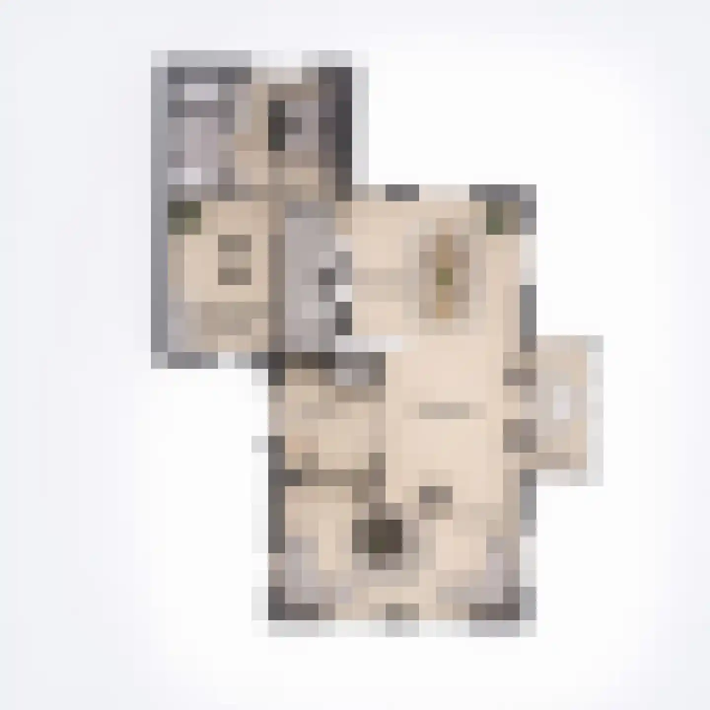 Ter Aase Zuwe 1 Vinkeveen thumbnail 12