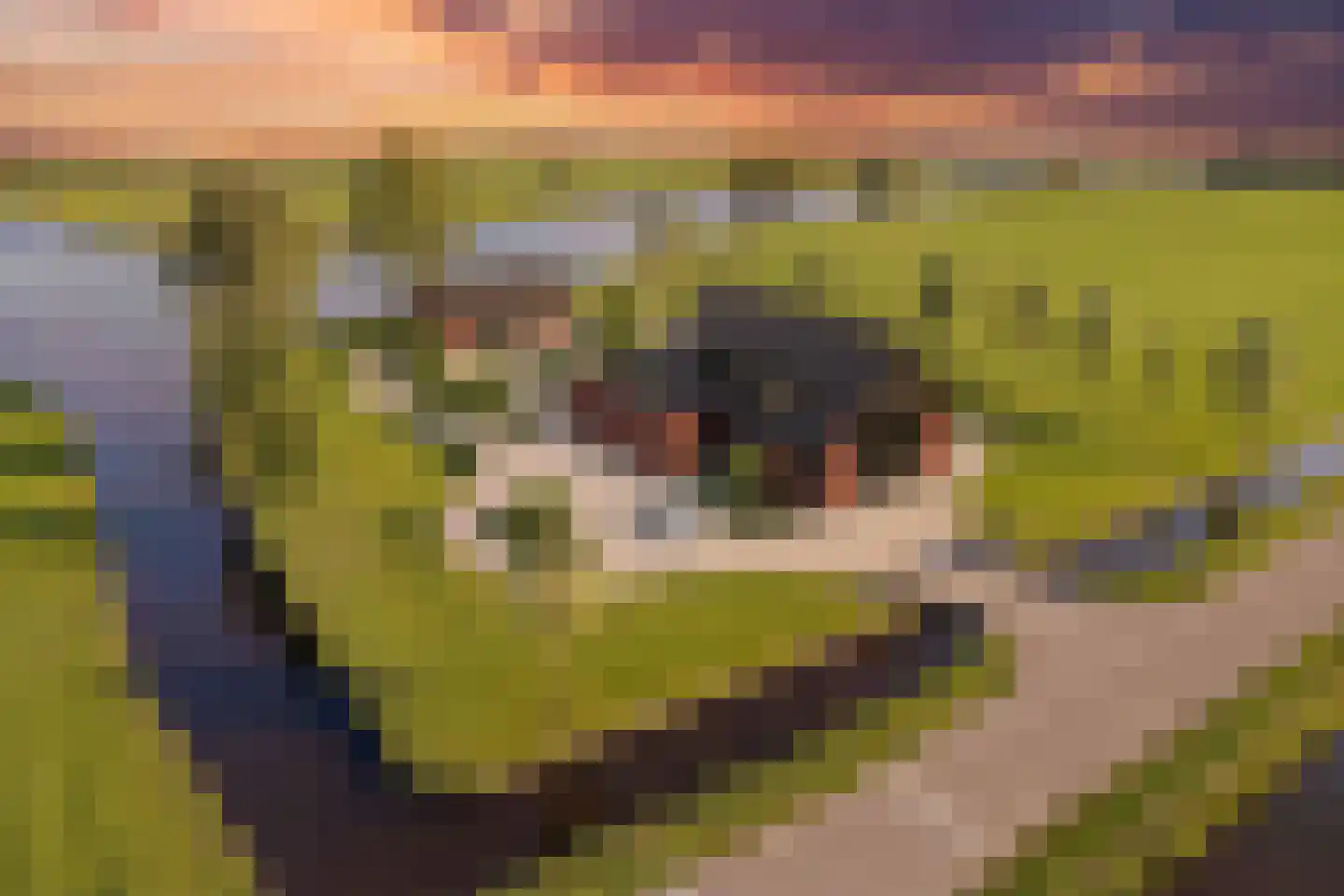 Ter Aase Zuwe 1 Vinkeveen thumbnail 4