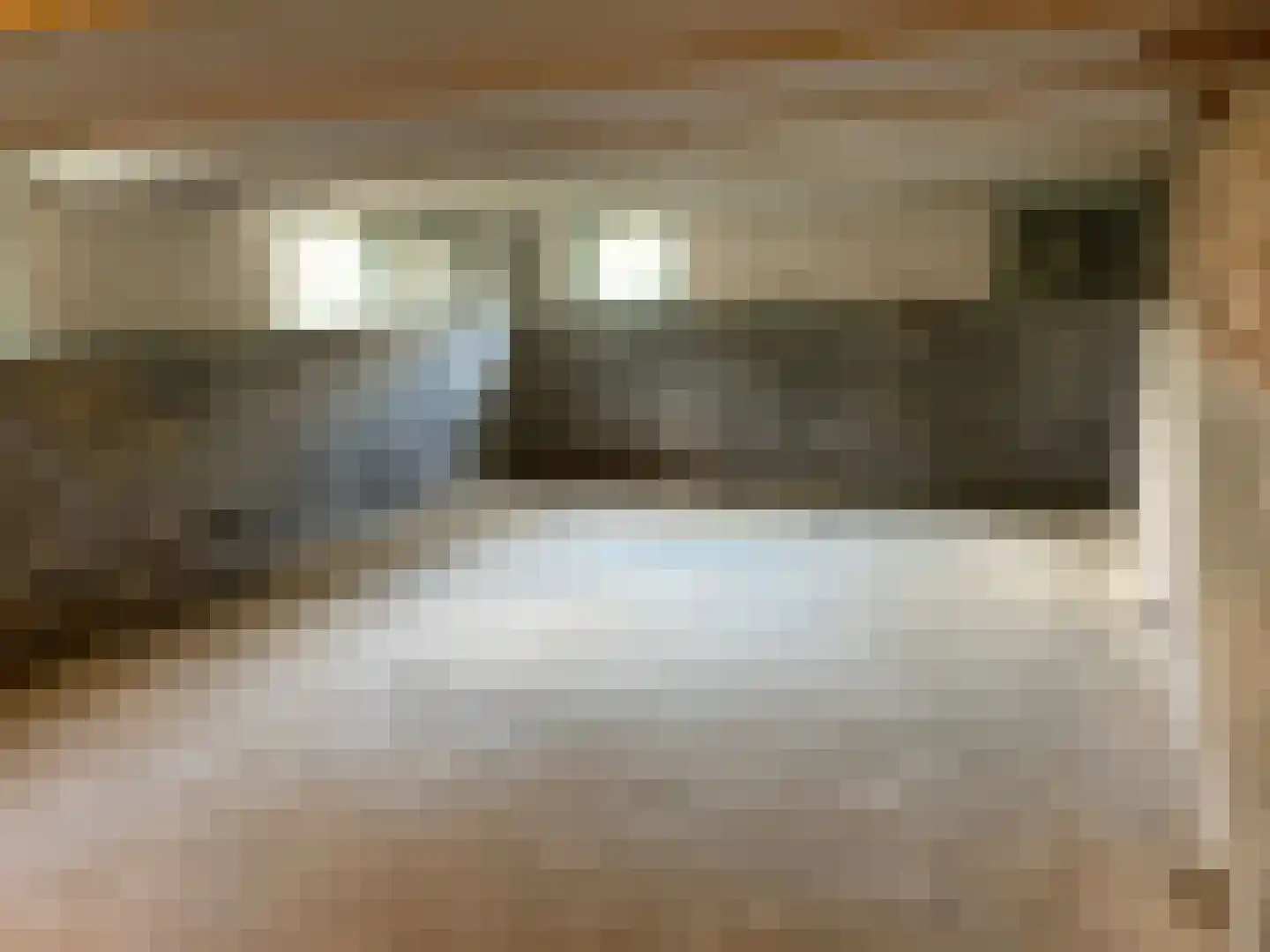 Ter Aaseweg 3 Nieuwer Ter Aa thumbnail 10