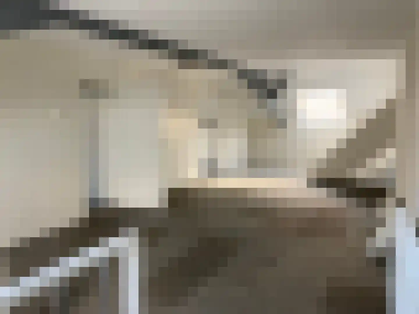 Ter Aaseweg 3 Nieuwer Ter Aa thumbnail 11