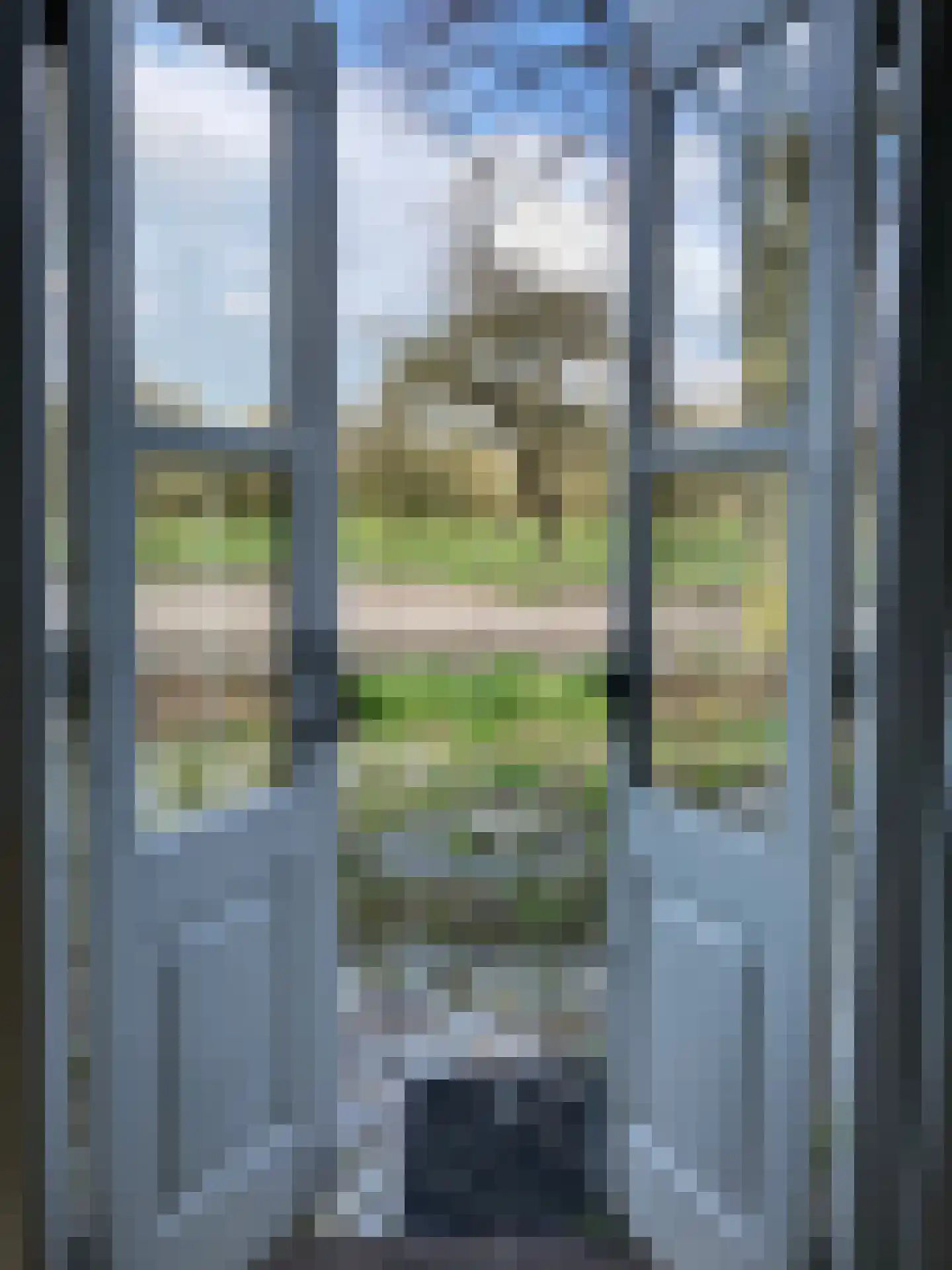 Ter Aaseweg 3 Nieuwer Ter Aa thumbnail 12