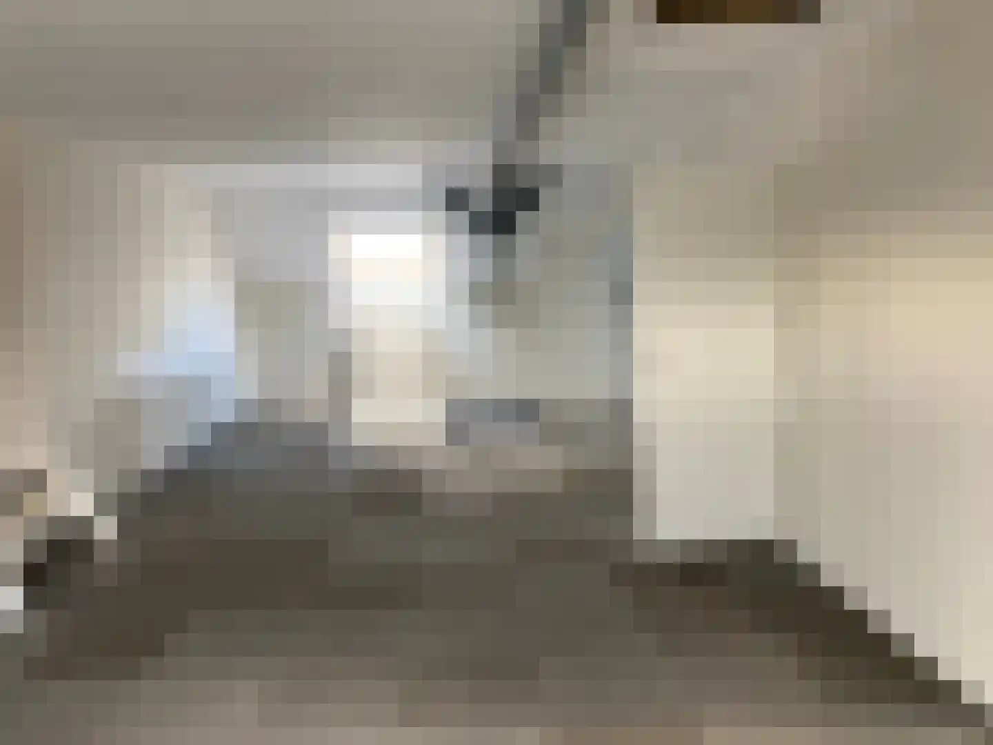 Ter Aaseweg 3 Nieuwer Ter Aa thumbnail 13