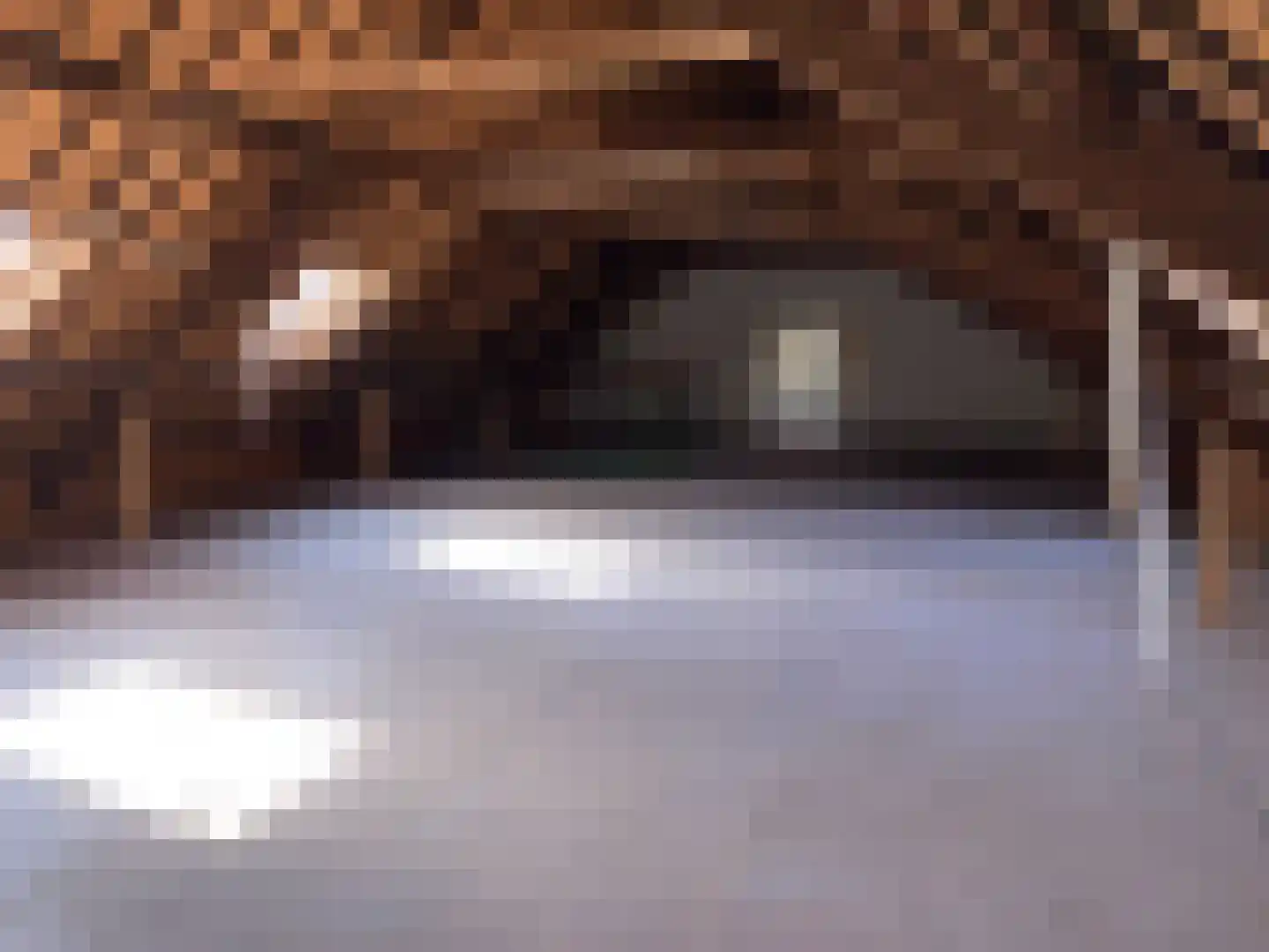Ter Aaseweg 3 Nieuwer Ter Aa thumbnail 14
