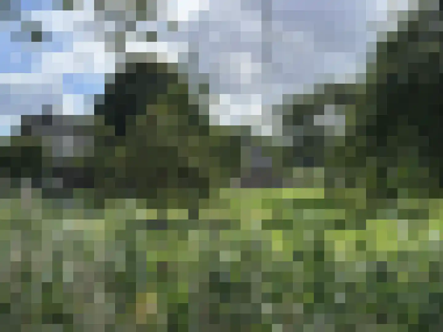 Ter Aaseweg 3 Nieuwer Ter Aa thumbnail 15