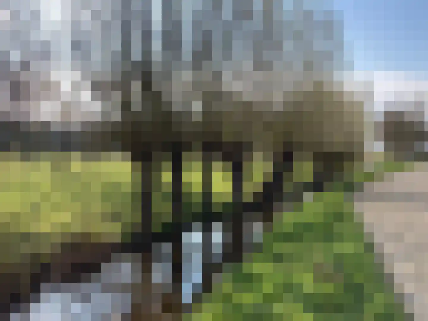 Ter Aaseweg 3 Nieuwer Ter Aa thumbnail 24
