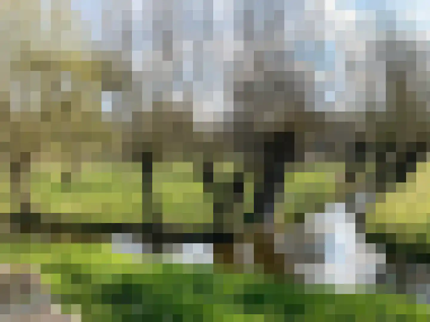 Ter Aaseweg 3 Nieuwer Ter Aa thumbnail 25