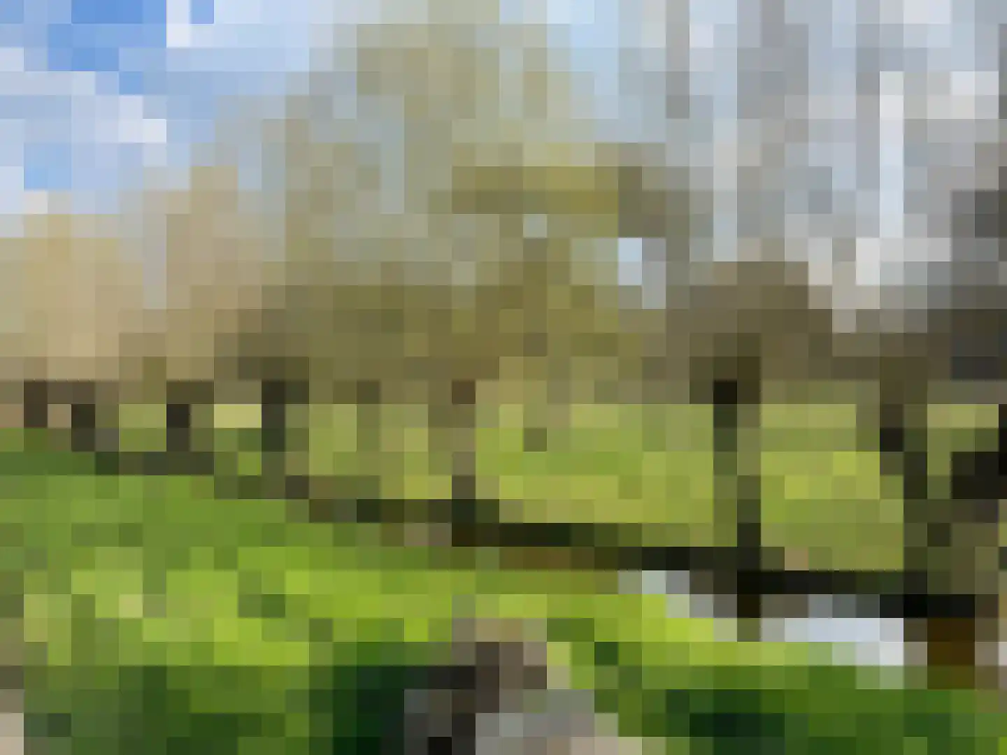 Ter Aaseweg 3 Nieuwer Ter Aa thumbnail 26
