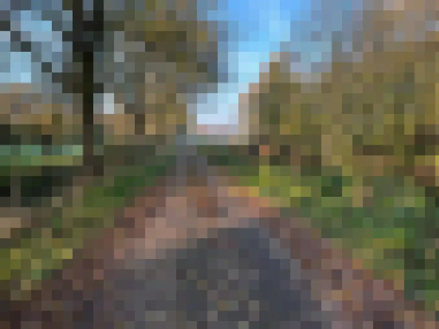 Ter Aaseweg 3 Nieuwer Ter Aa thumbnail 27