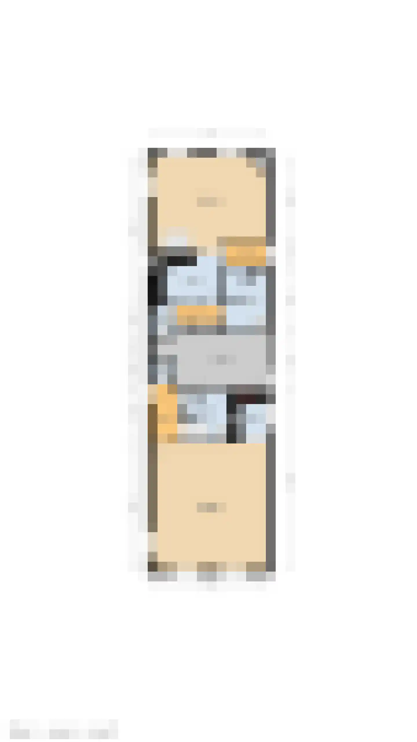 Ter Aaseweg 3 Nieuwer Ter Aa thumbnail 31