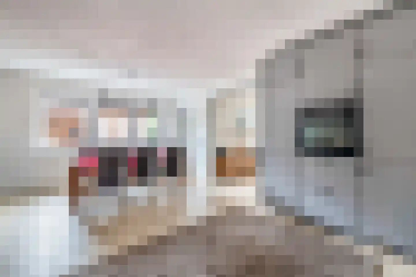 Ter Apelkanaal Oost 122 Ter Apelkanaal thumbnail 22
