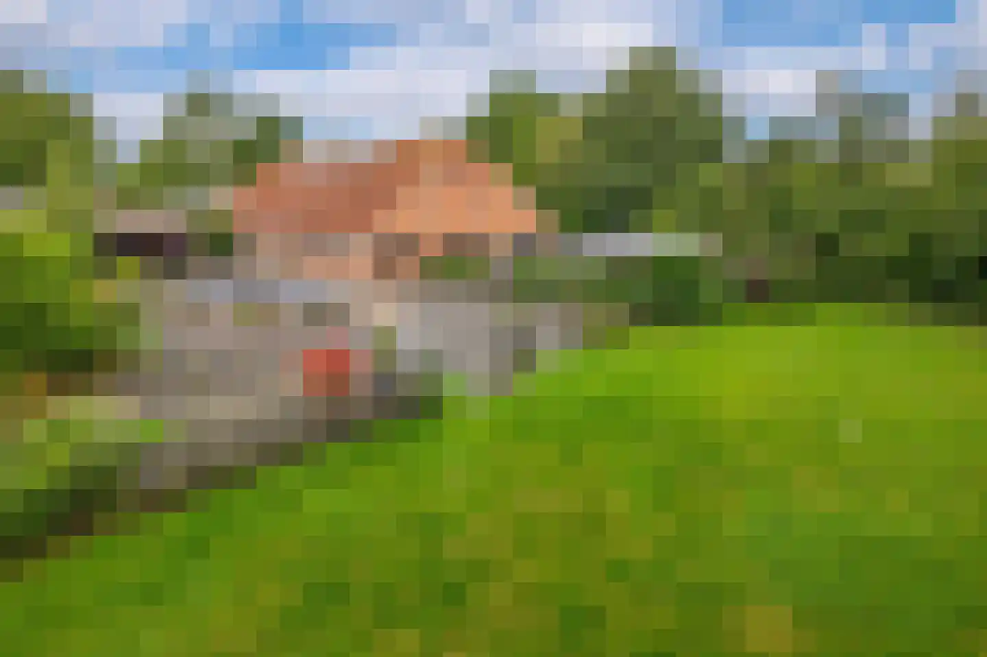 Ter Apelkanaal Oost 122 Ter Apelkanaal thumbnail 58