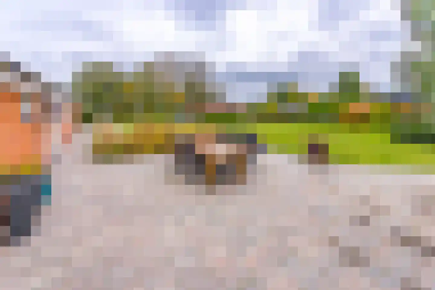 Ter Apelkanaal Oost 35 Ter Apelkanaal thumbnail 45