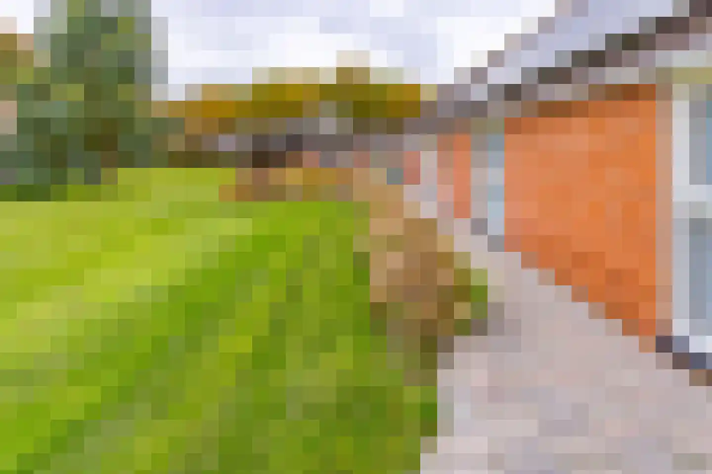 Ter Apelkanaal Oost 35 Ter Apelkanaal thumbnail 46