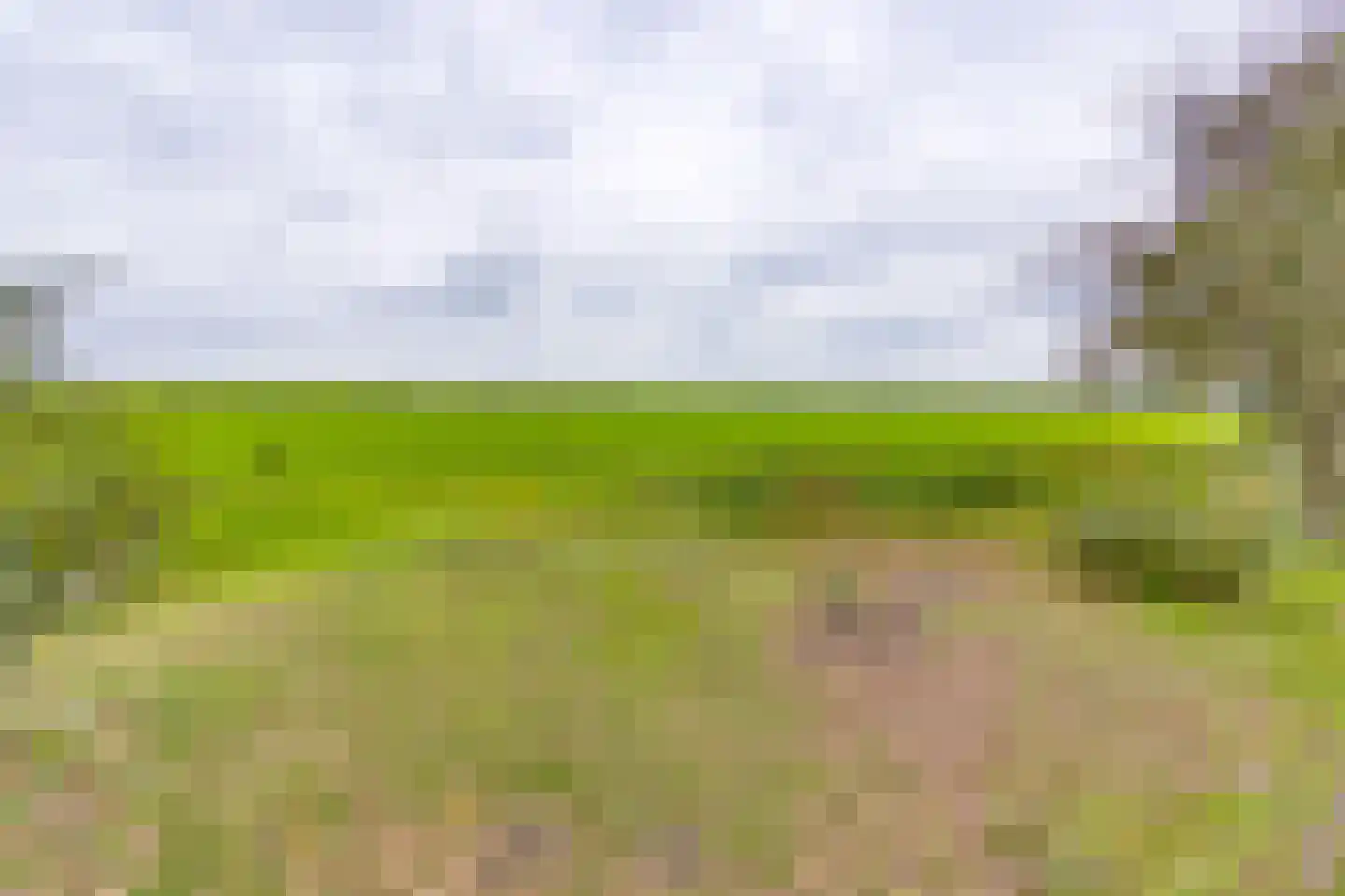 Ter Apelkanaal Oost 35 Ter Apelkanaal thumbnail 56