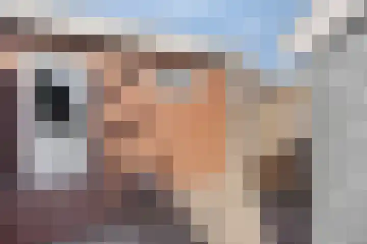 Ter Apelkanaal Oost 87 Ter Apelkanaal thumbnail 27