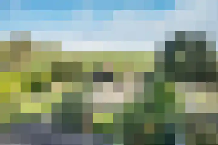 Ter Apelkanaal Oost 87 Ter Apelkanaal thumbnail 31