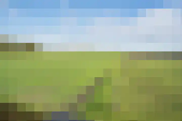 Ter Apelkanaal Oost 87 Ter Apelkanaal thumbnail 33