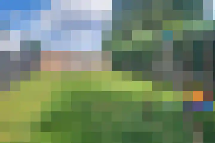Ter Apelkanaal Oost 87 Ter Apelkanaal thumbnail 35