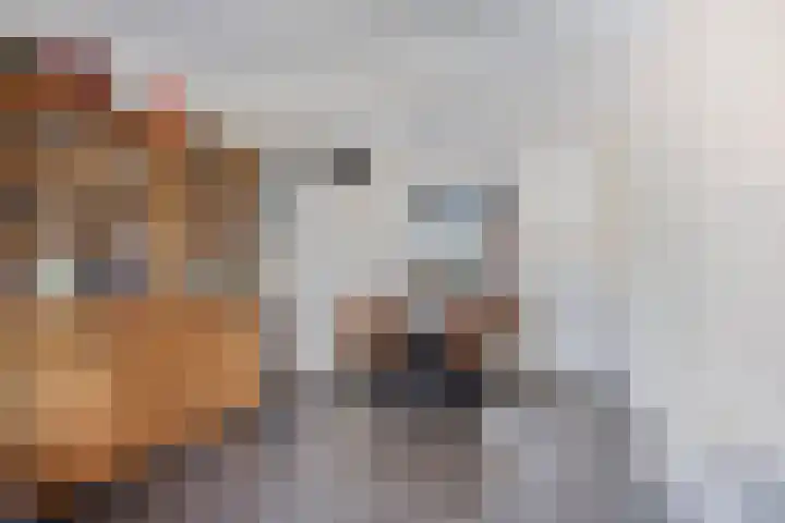 Ter Apelkanaal Oost 87 Ter Apelkanaal thumbnail 6