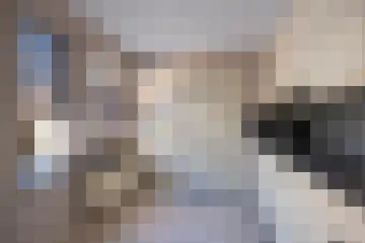 Ter Apelkanaal Oost 87 Ter Apelkanaal thumbnail 7