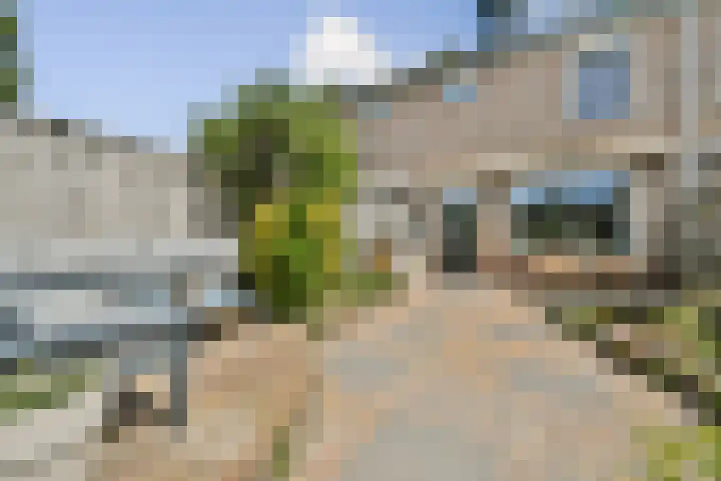 Ter Beek 19 Lisse thumbnail 11