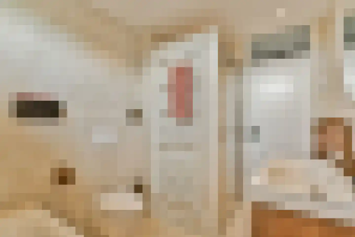Ter Beek 19 Lisse thumbnail 23