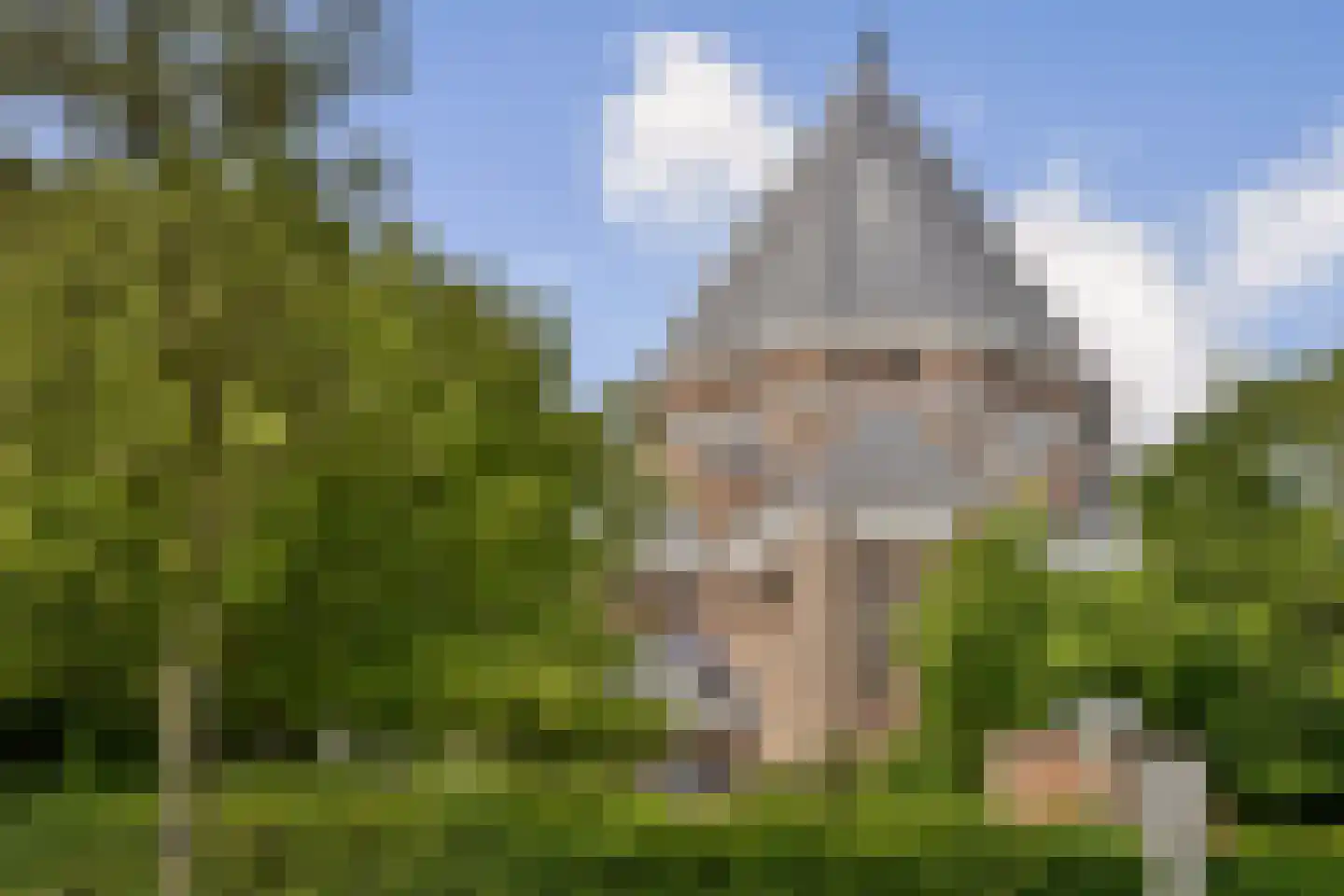Ter Beek 19 Lisse thumbnail 29