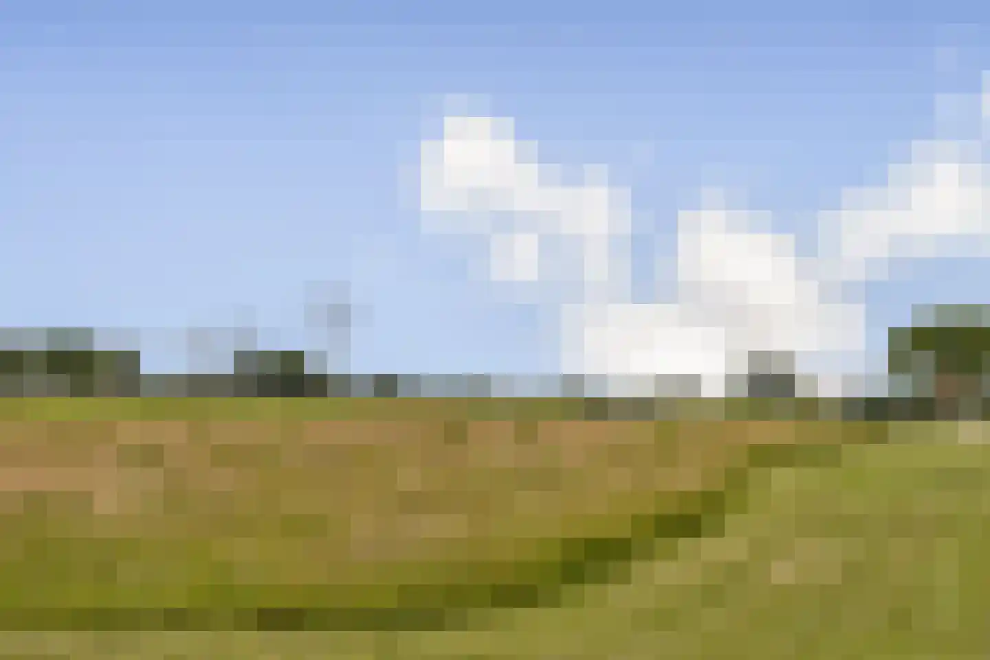 Ter Beek 19 Lisse thumbnail 32