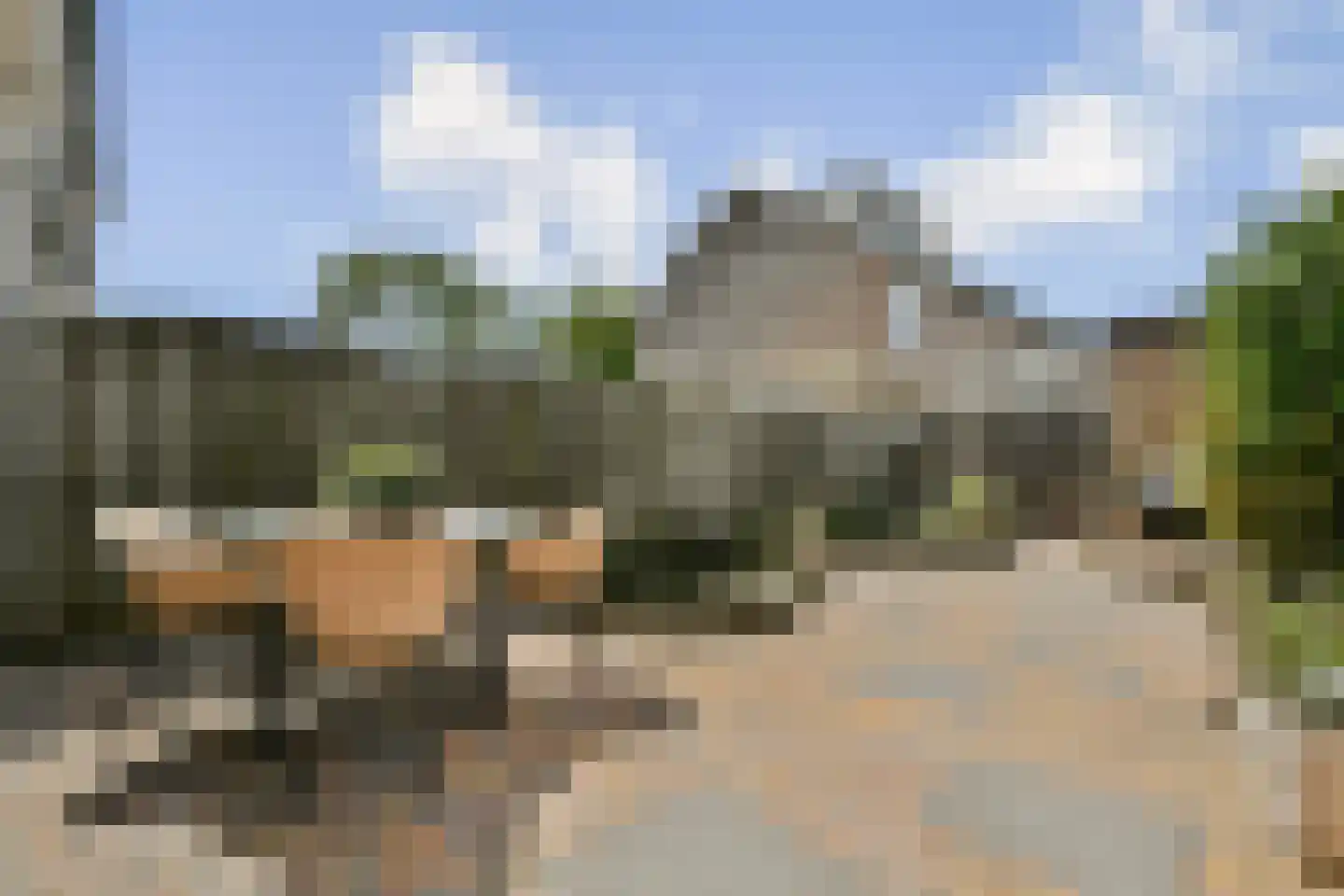 Ter Beek 19 Lisse thumbnail 9