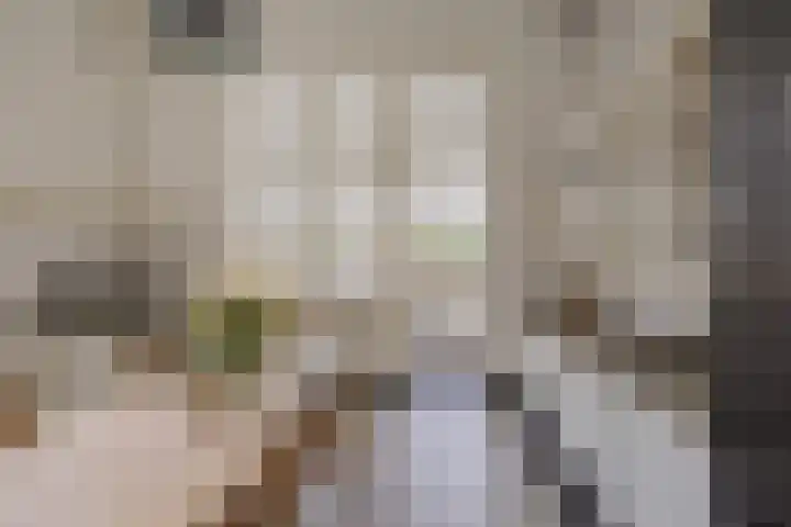 Ter Beek 26 Lisse thumbnail 12