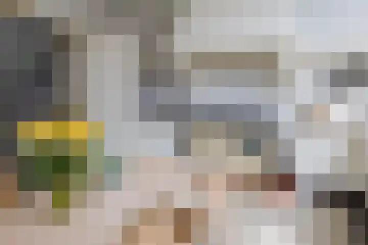 Ter Beek 26 Lisse thumbnail 13