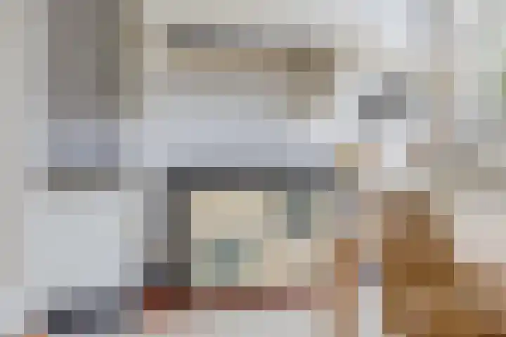 Ter Beek 26 Lisse thumbnail 14