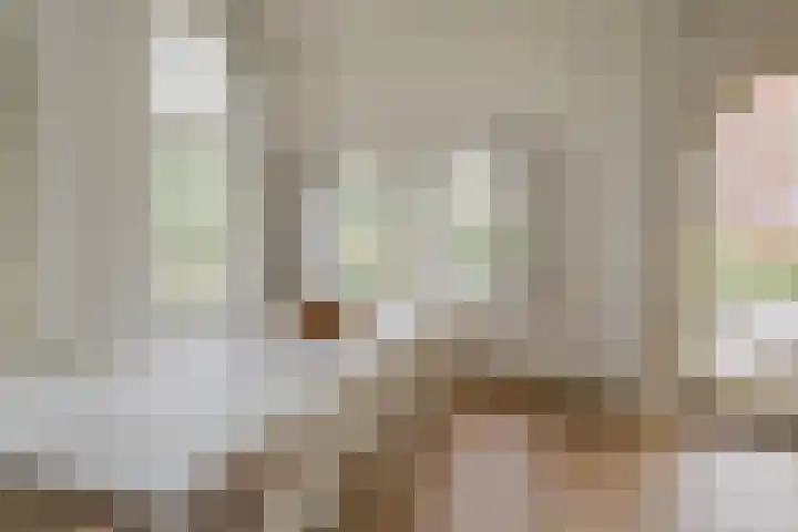 Ter Beek 26 Lisse thumbnail 17