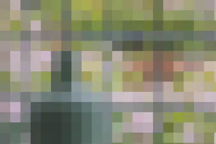 Ter Beek 26 Lisse thumbnail 21