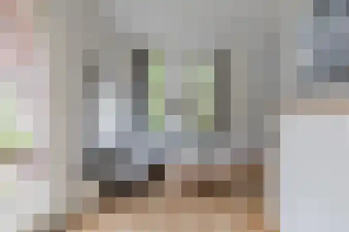 Ter Beek 26 Lisse thumbnail 24
