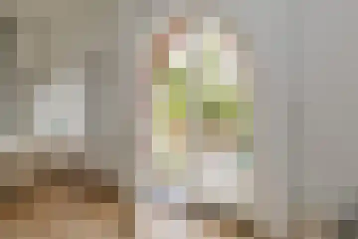 Ter Beek 26 Lisse thumbnail 26