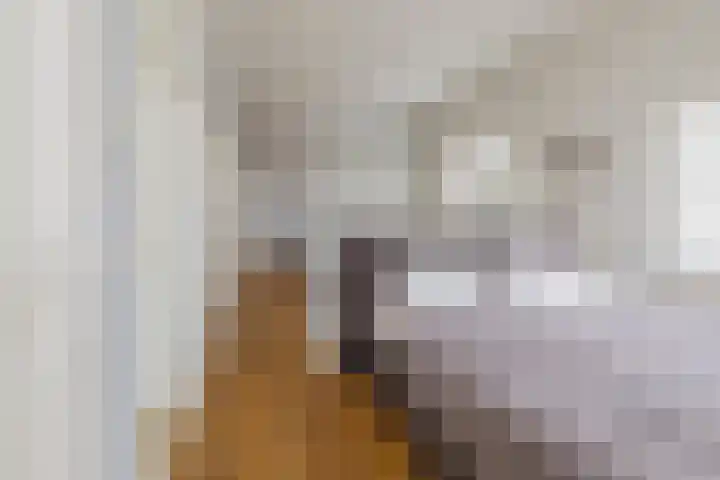 Ter Beek 26 Lisse thumbnail 32