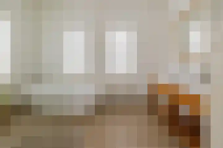 Ter Beek 26 Lisse thumbnail 35