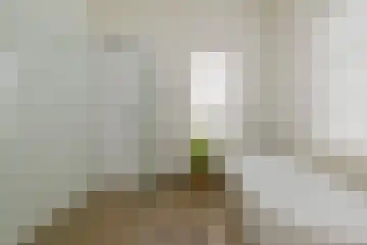 Ter Beek 26 Lisse thumbnail 36