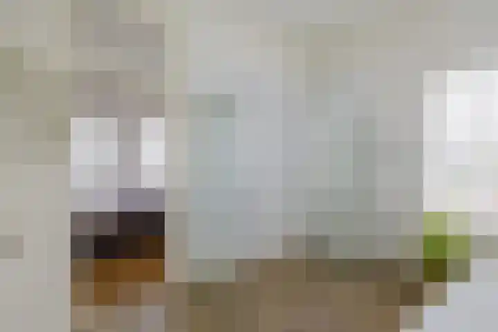 Ter Beek 26 Lisse thumbnail 39