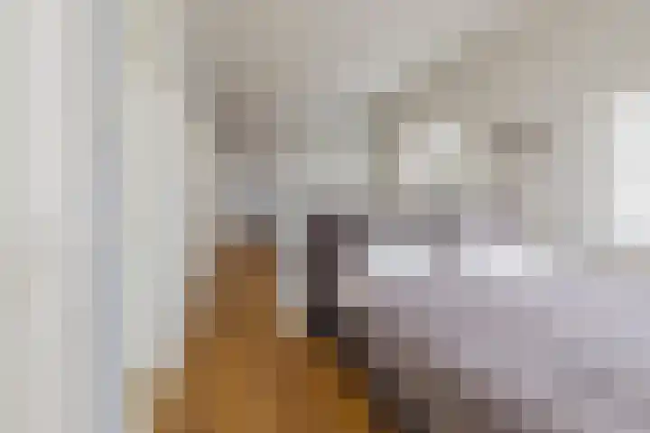Ter Beek 26 Lisse thumbnail 4