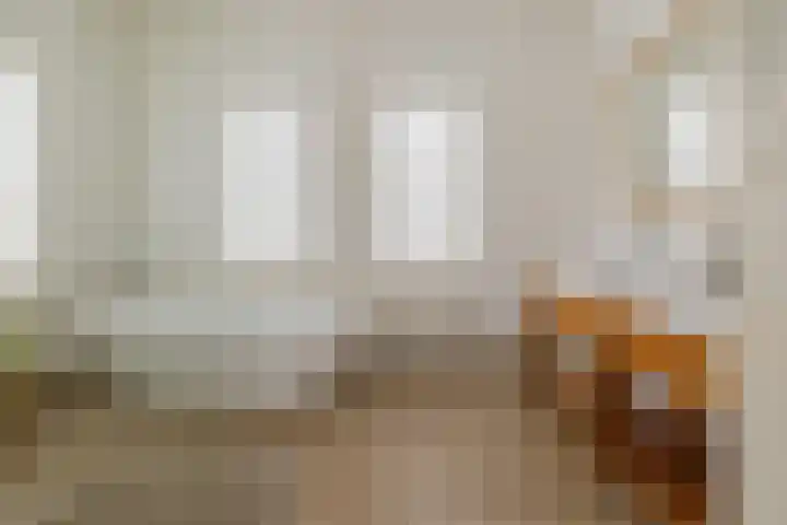 Ter Beek 26 Lisse thumbnail 5