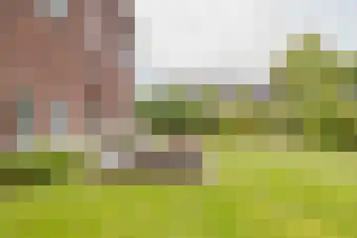 Ter Beek 26 Lisse thumbnail 52